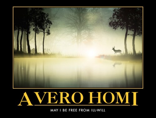 avero-homi
