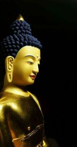 17190505_1481685678529848_2194111065249882605_n